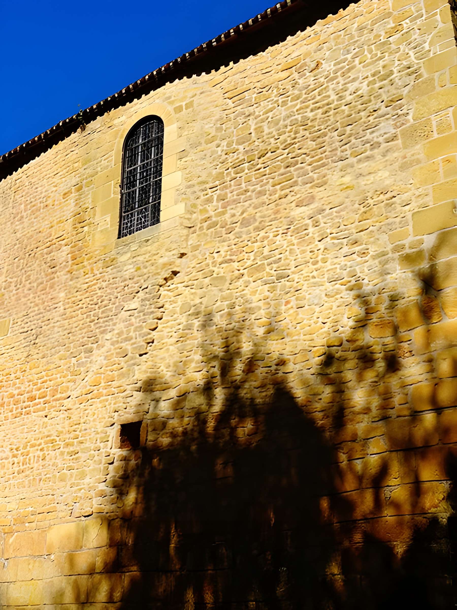 Église Saint-Léonce de Saint-Léon-sur-Vézère
