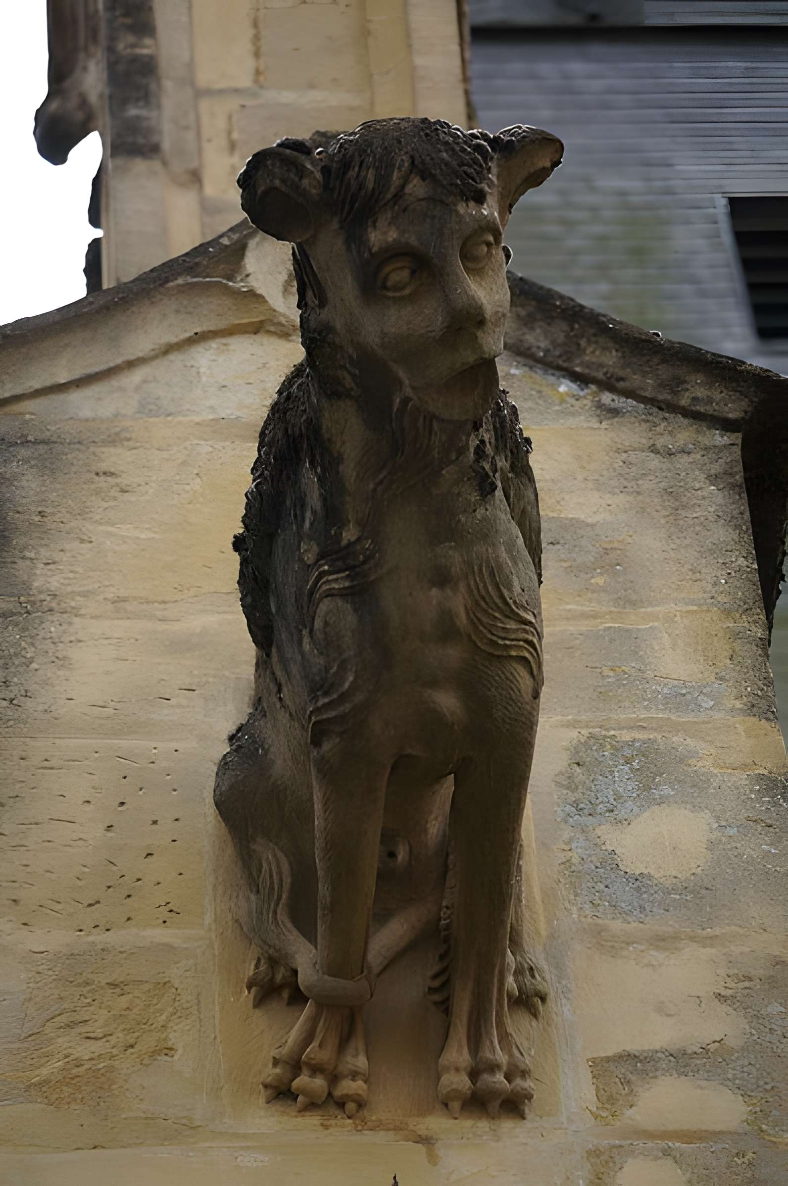 Église Saint-Lié de Mohon