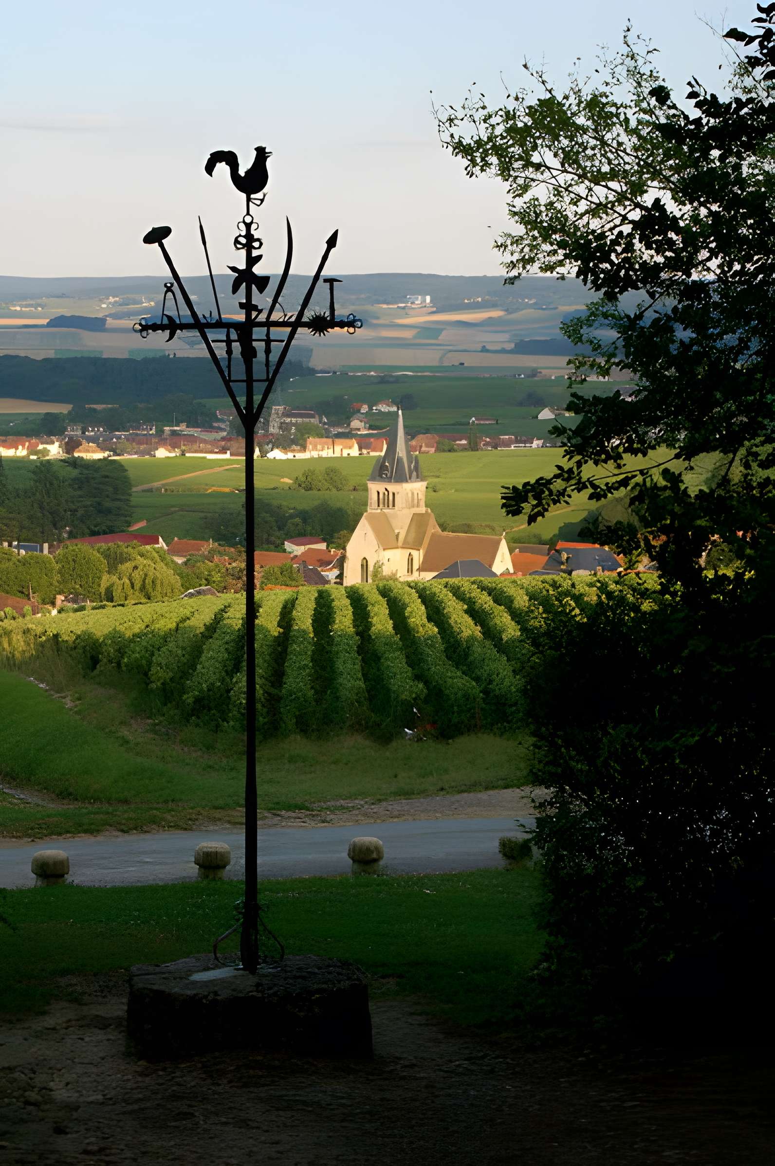 Église Saint-Lié de Ville-Dommange