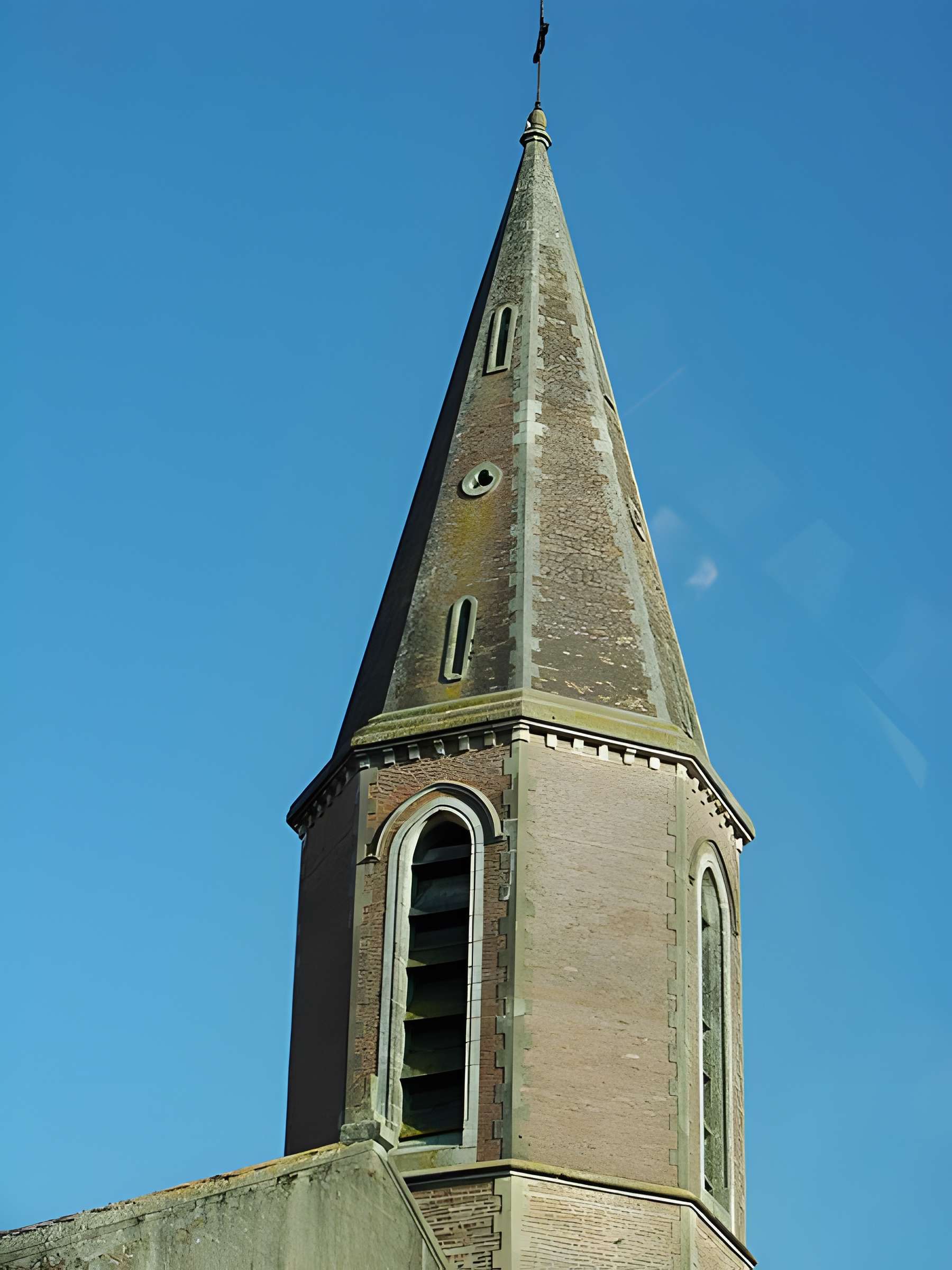Église Saint-Louis de Rabastens-de-Bigorre