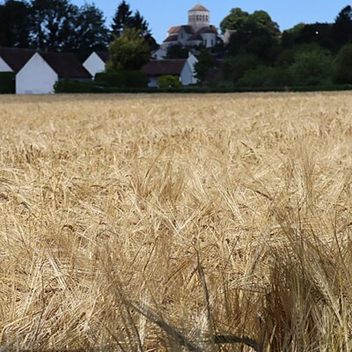 Photo de Église Saint-Loup de Saint-Loup-de-Naud