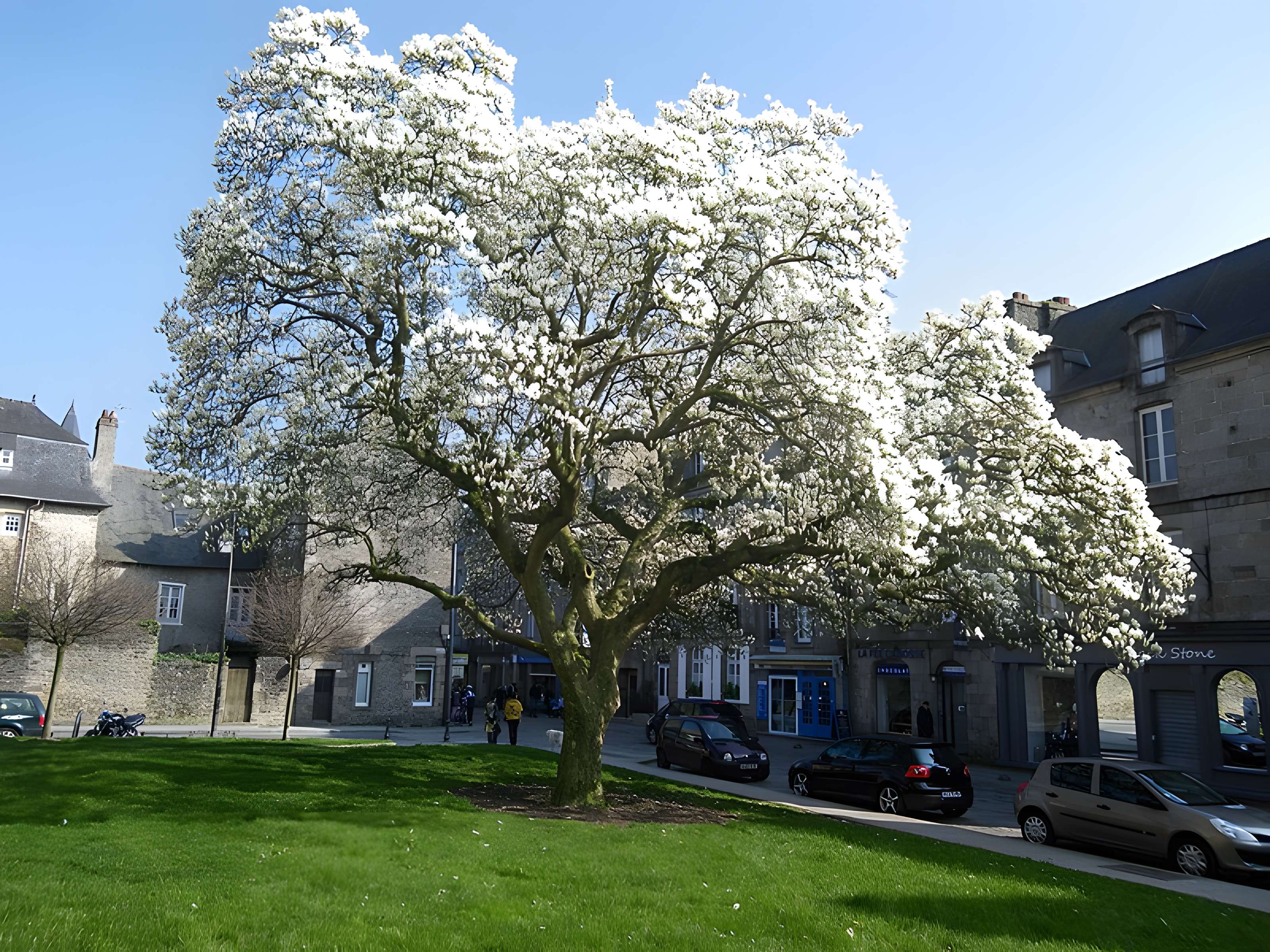 Église Saint-Malo de Dinan