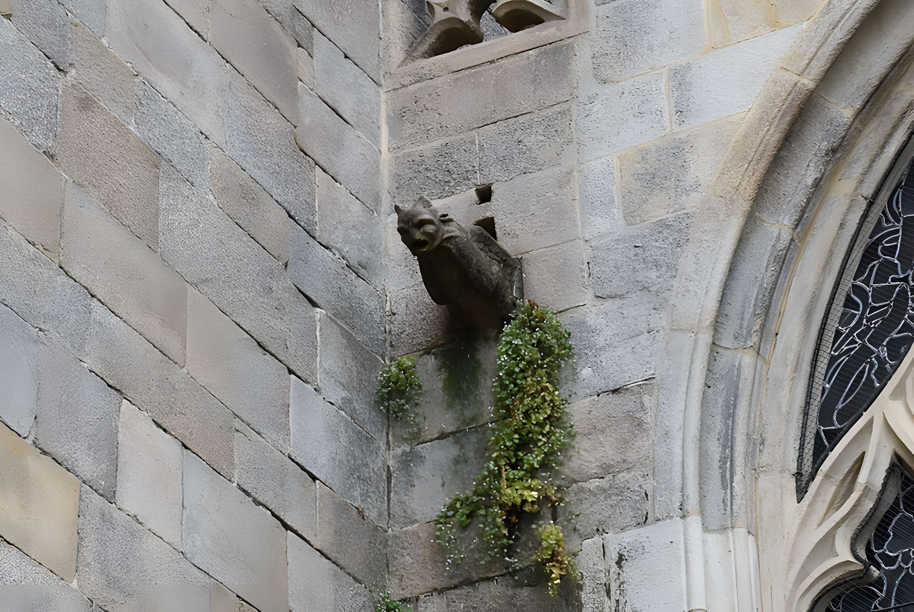 Église Saint-Malo de Dinan