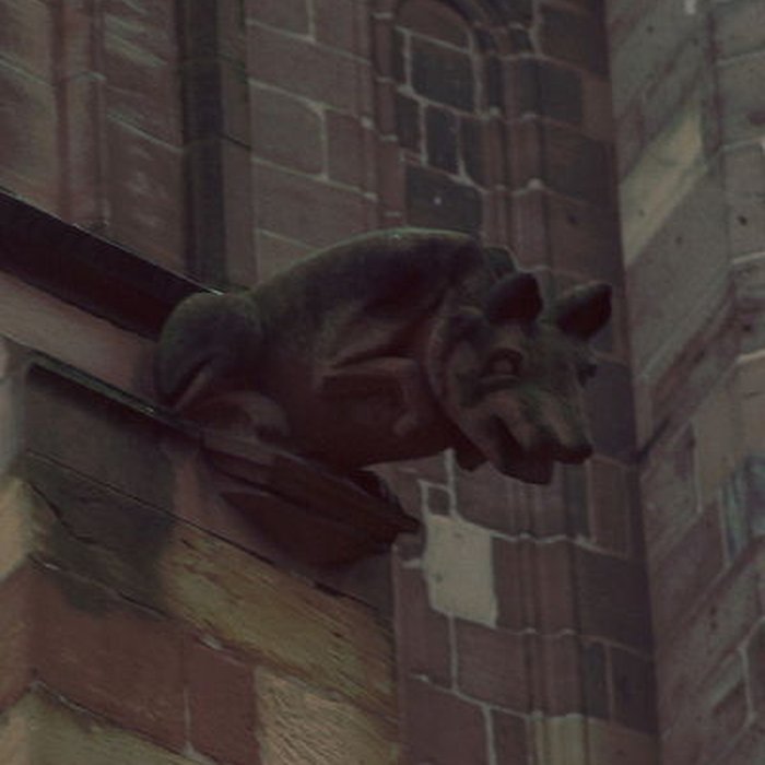 Photo de Abbatiale Saint-Pierre-et-Saint-Paul de Wissembourg
