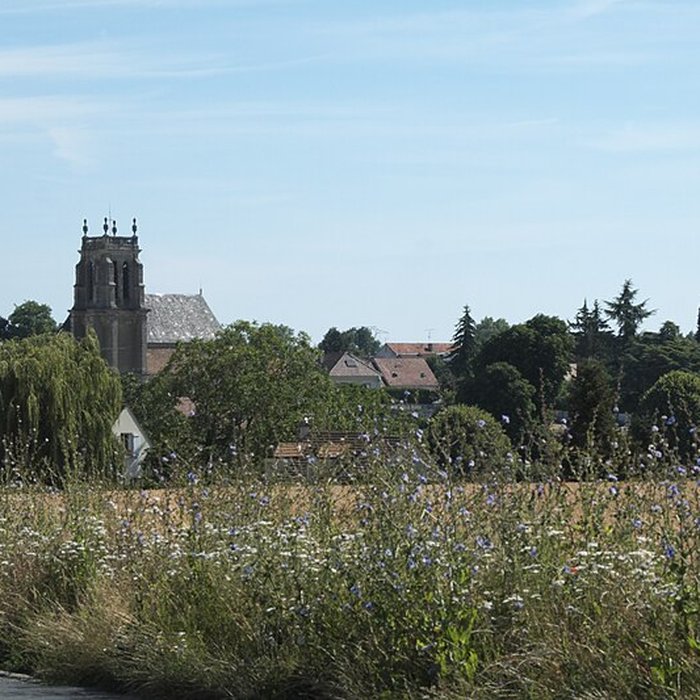 Photo de Église Saint-Martin dAttainville