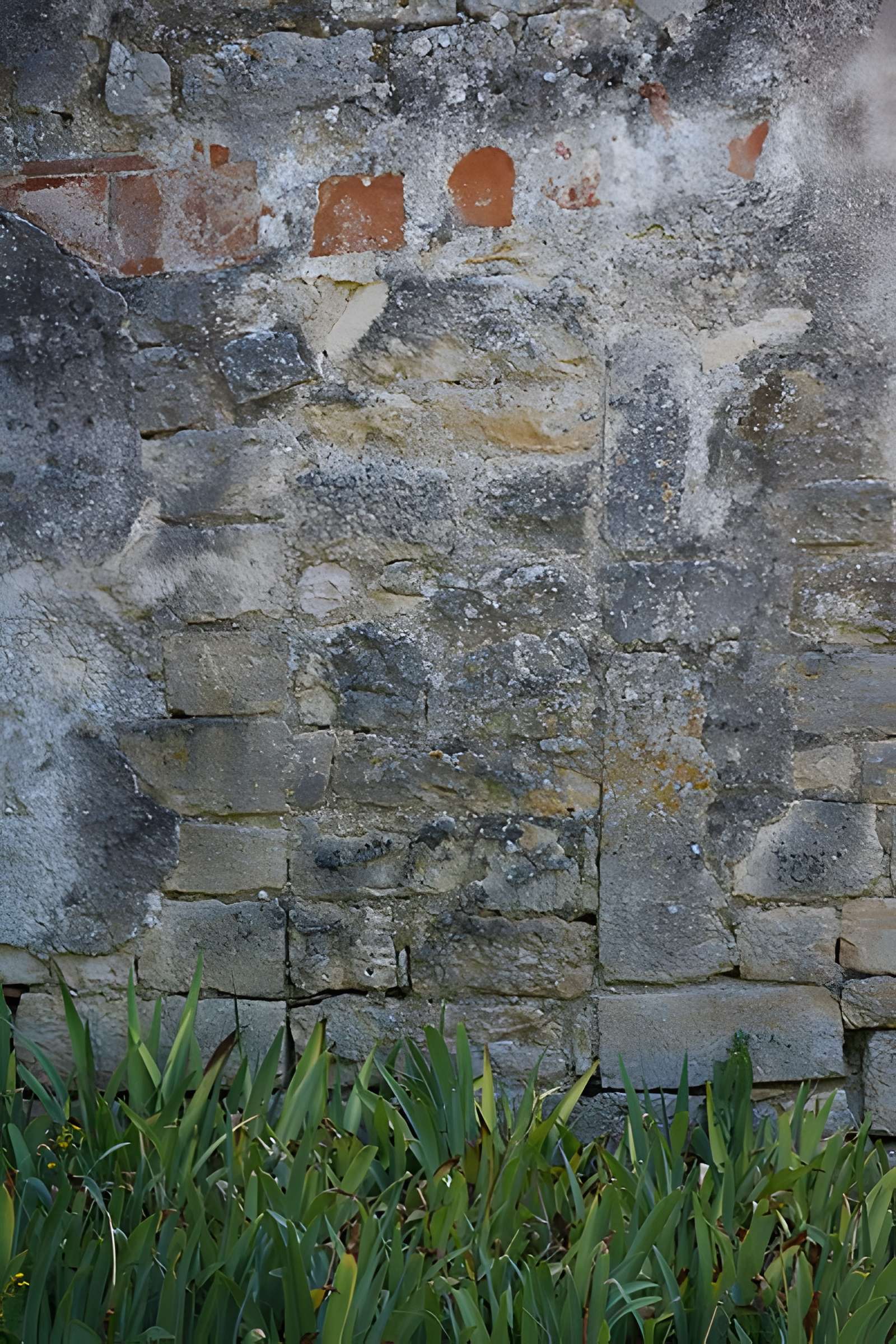 Église Saint-Martin de Cas