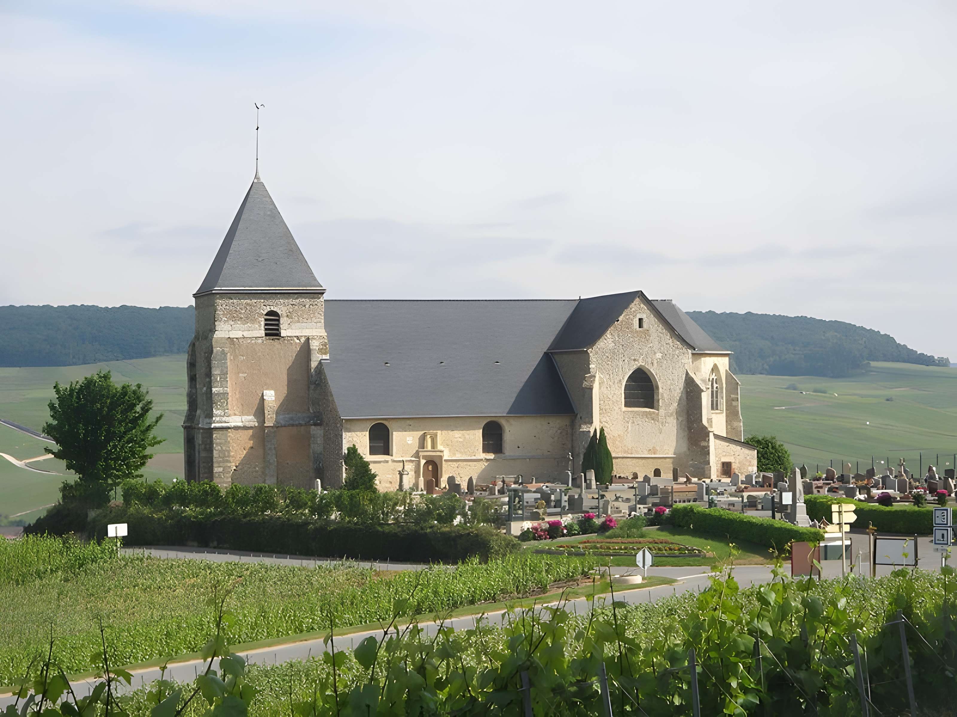 Église Saint-Martin de Chavot 