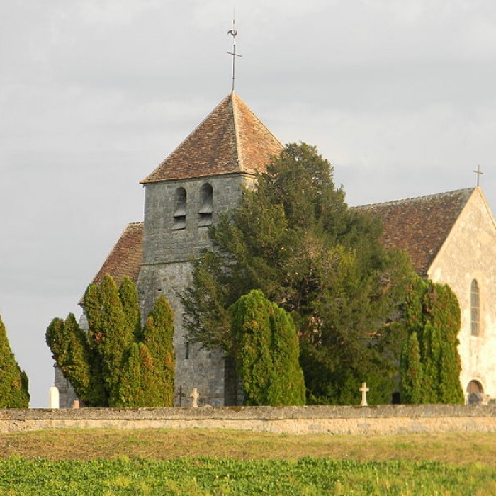 Photo de Église Saint-Martin de La Genevraye