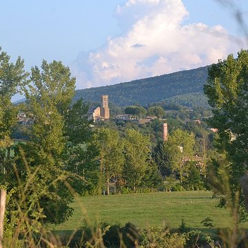 Église Saint-Martin de Laroque-dOlmes