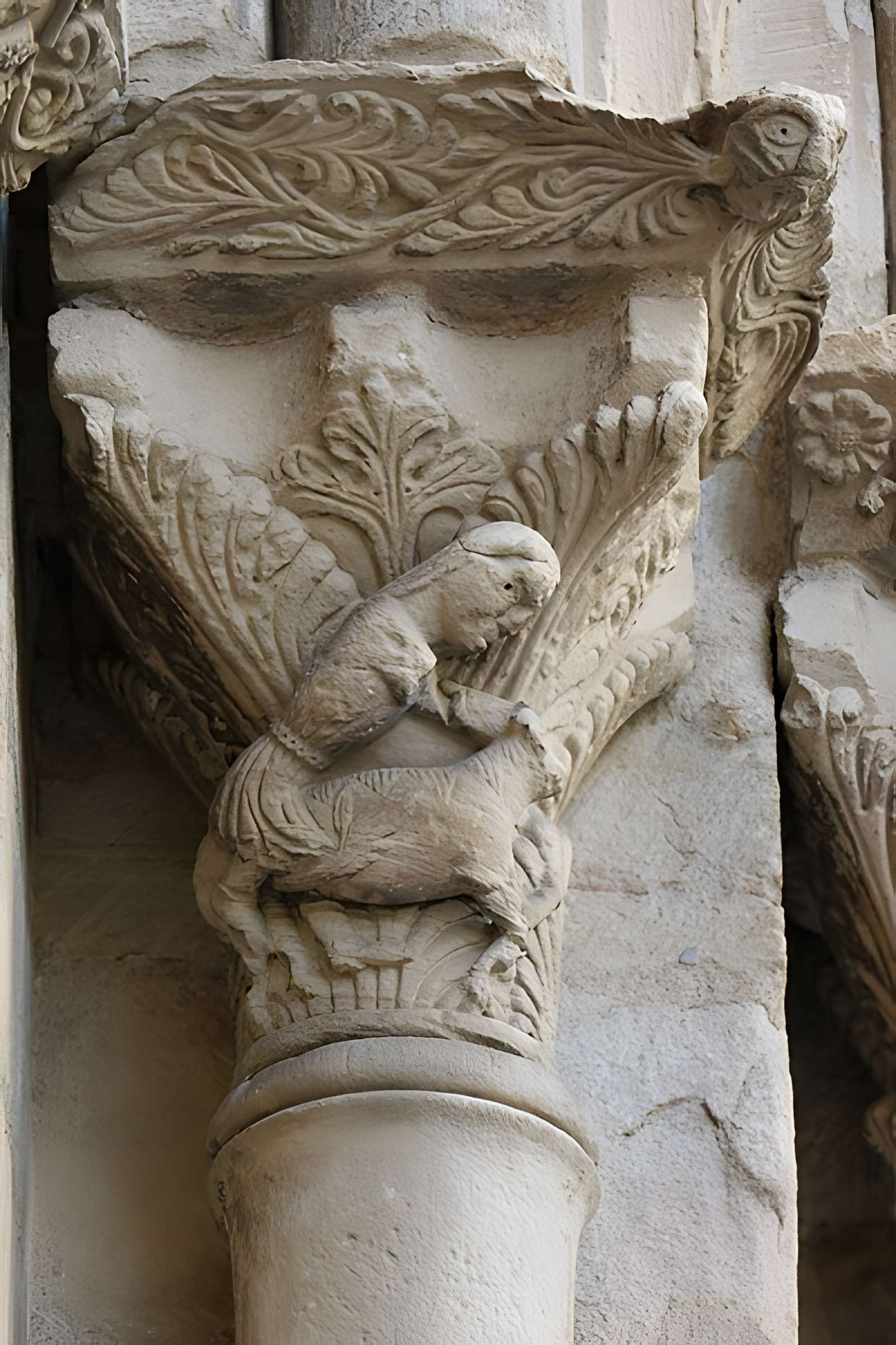 Église Saint-Martin de Limoux