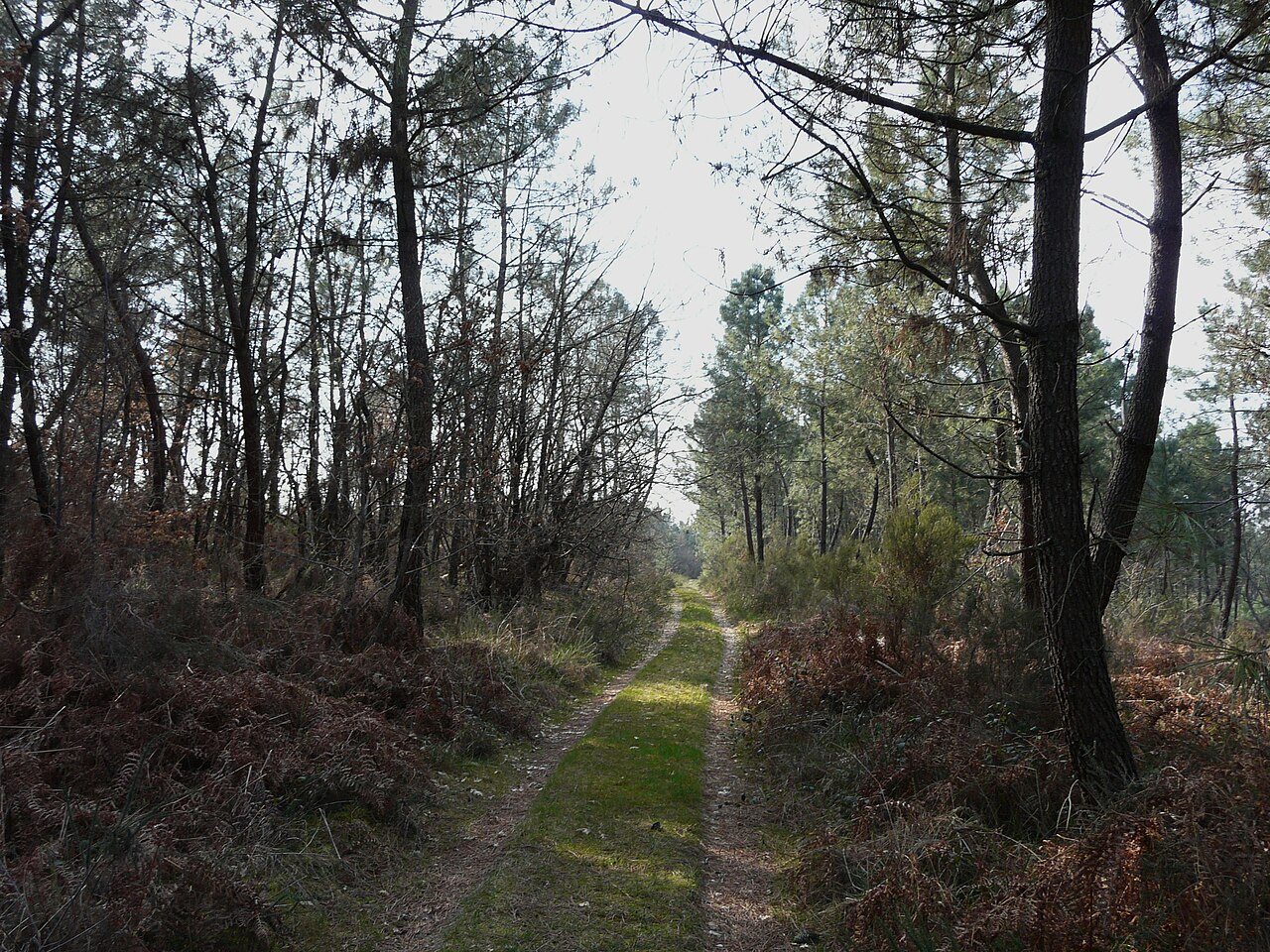 Église Saint-Martin de Saint-Martin-l'Astier