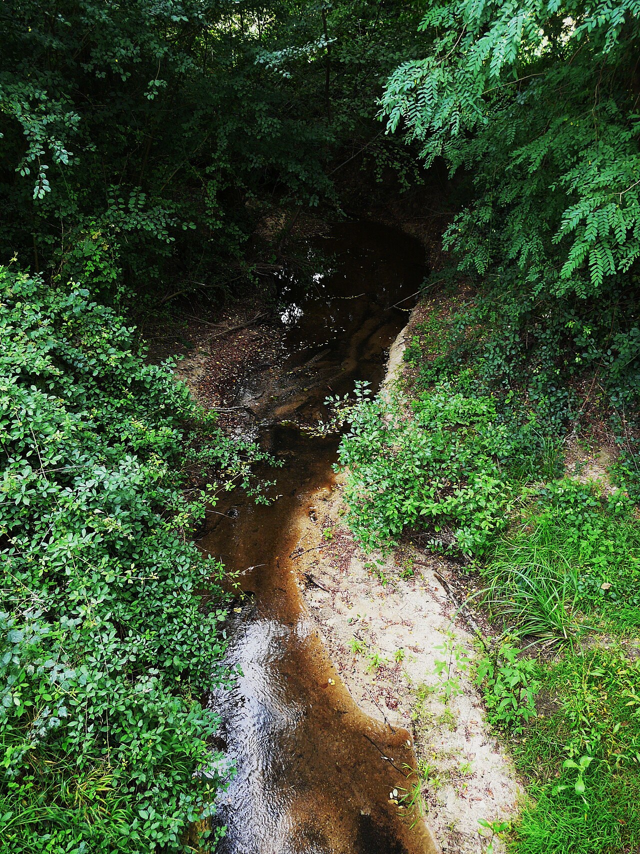 Église Saint-Martin de Saint-Martin-l'Astier