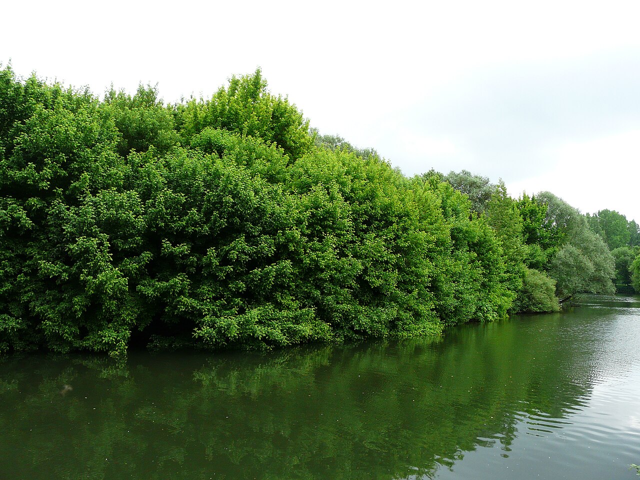 Église Saint-Martin de Saint-Martin-l'Astier