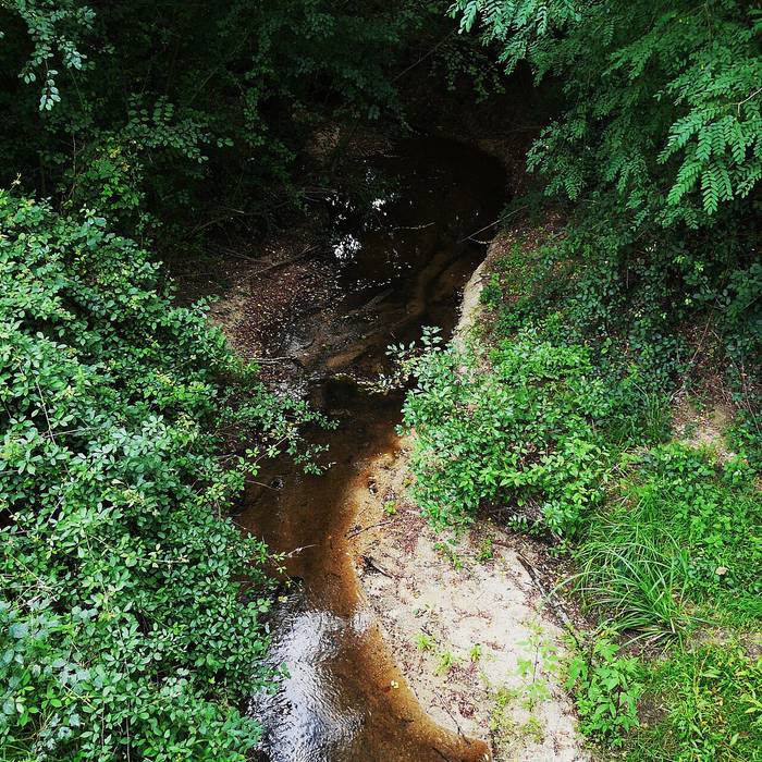 Photo de Église Saint-Martin de Saint-Martin-lAstier