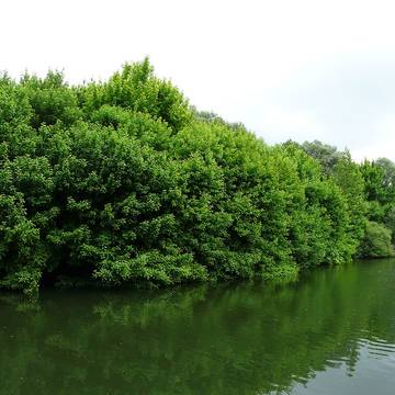 Église Saint-Martin de Saint-Martin-lAstier