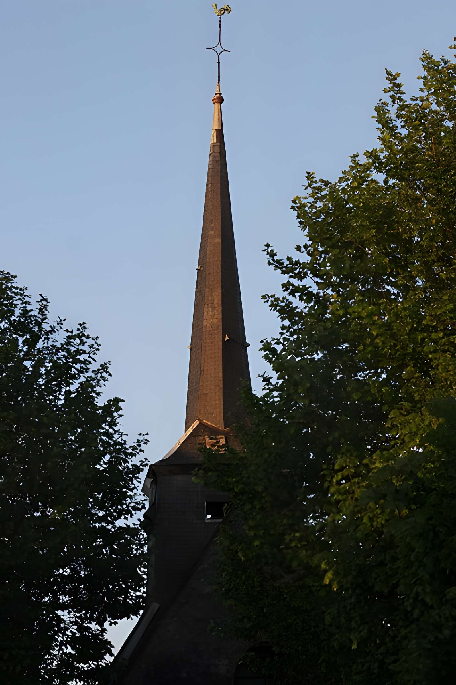 Église Saint-Martin de Souvigny-en-Sologne