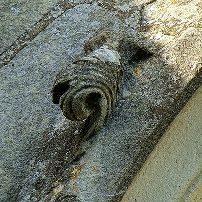 Photo de Église Saint-Martin de Survilliers