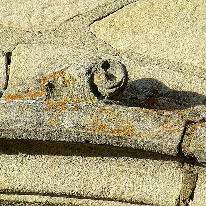 Photo de Église Saint-Martin de Survilliers