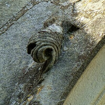 Église Saint-Martin de Survilliers
