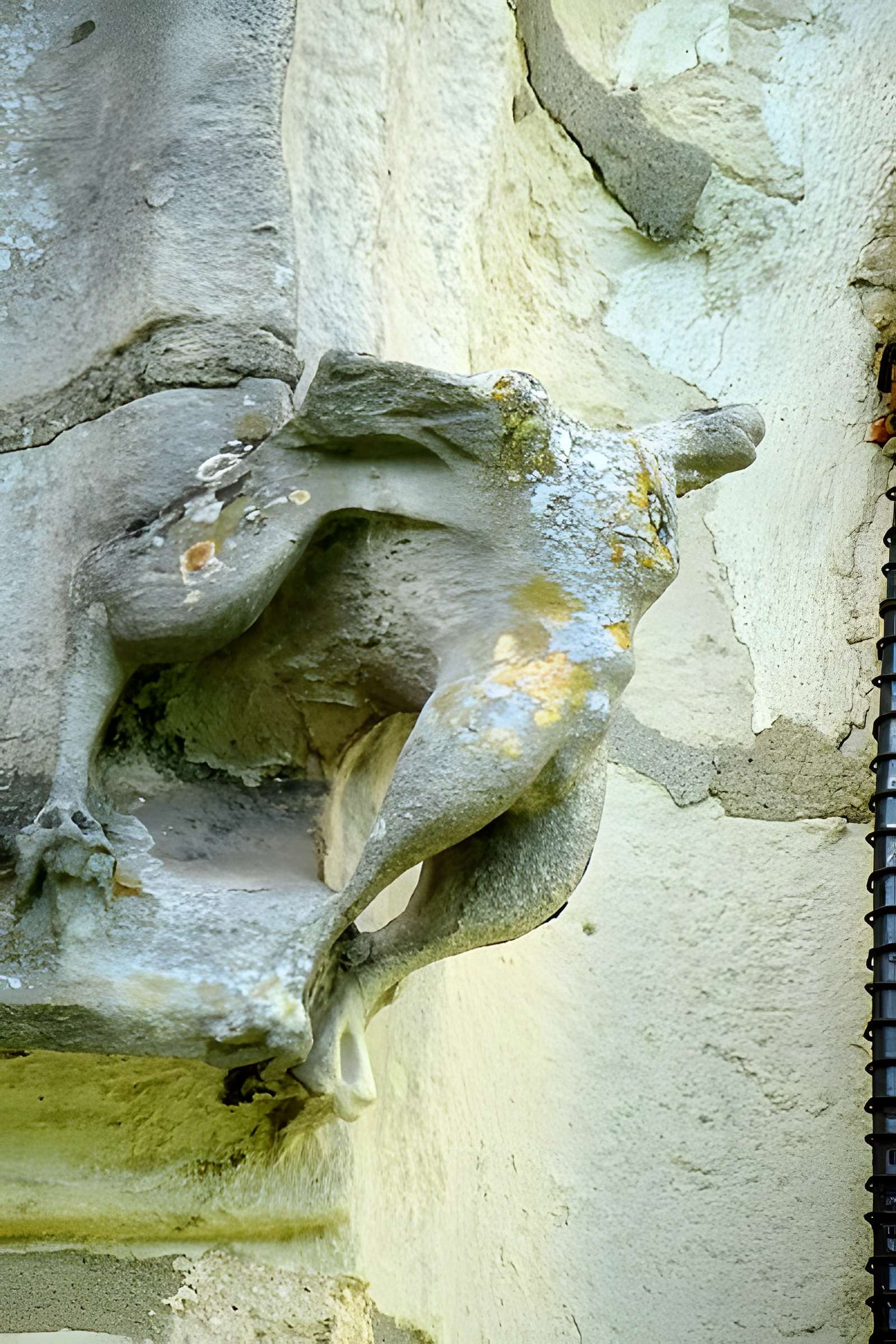 Église Saint-Martin de Survilliers