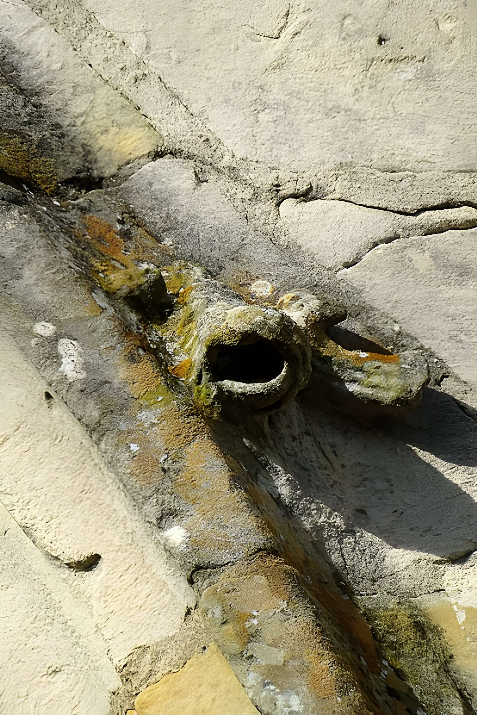 Église Saint-Martin de Survilliers