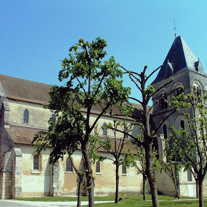 Photo de Église Saint-Martin de Vertus