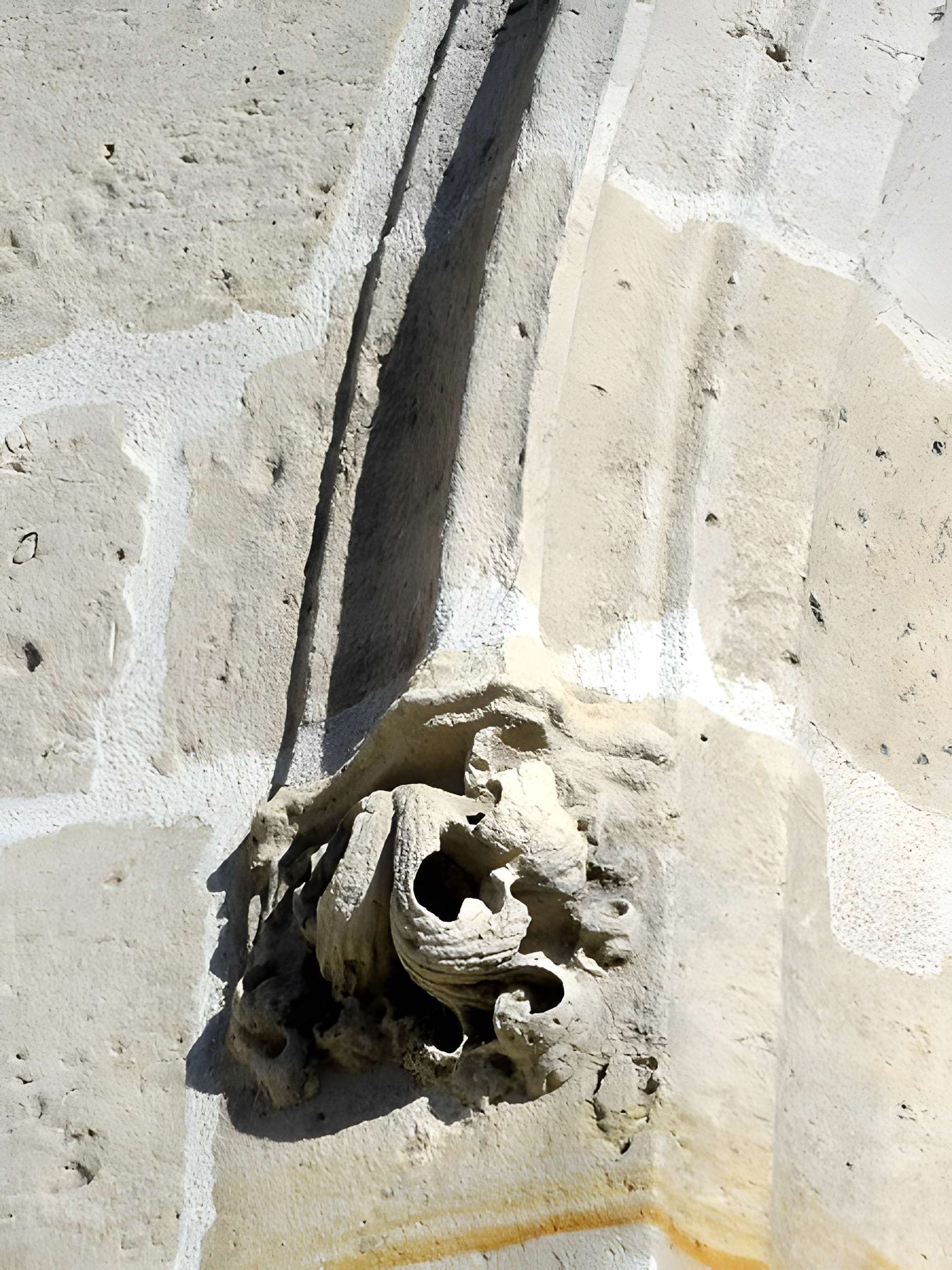 Église Saint-Martin du Mesnil-Amelot