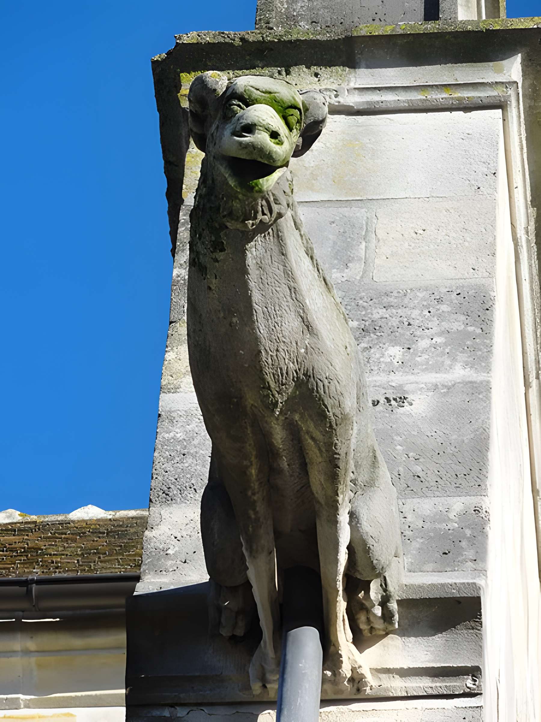 Église Saint-Martin du Mesnil-Amelot
