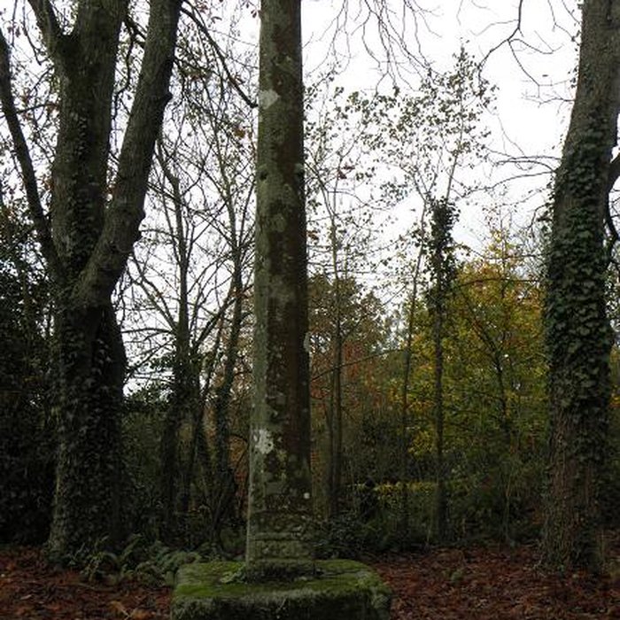 Photo de Église Saint-Martin du Tiercent