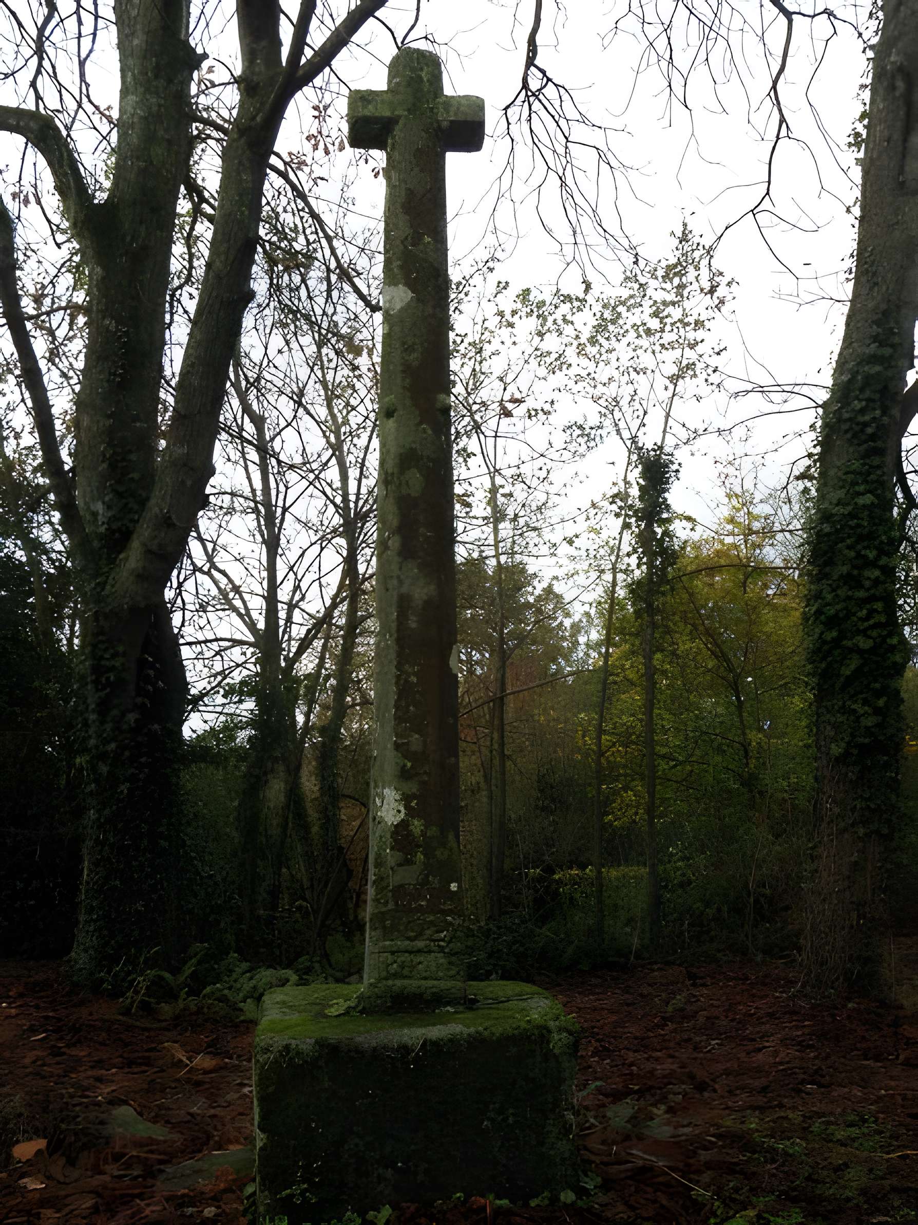 Église Saint-Martin du Tiercent