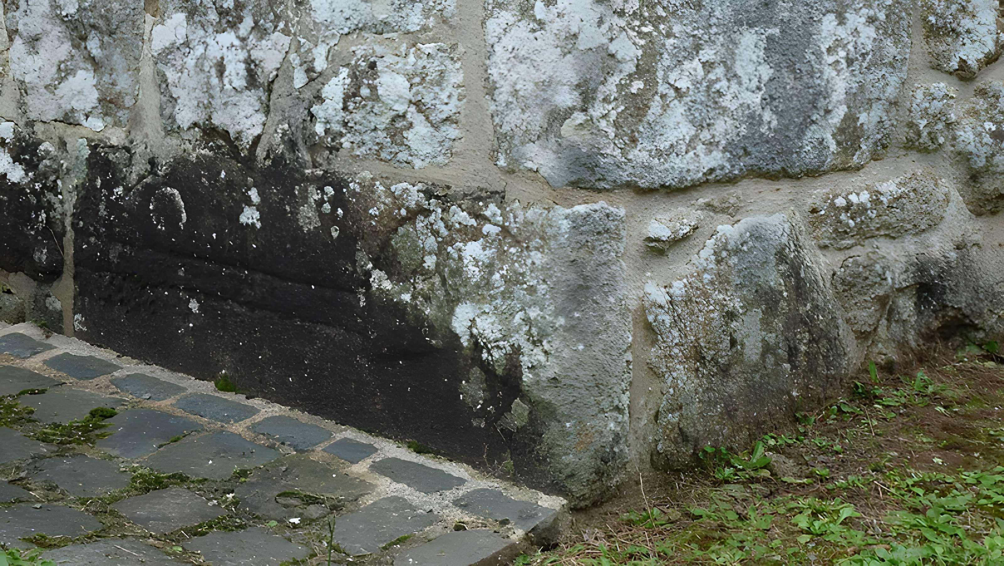 Église Saint-Martin du Tiercent