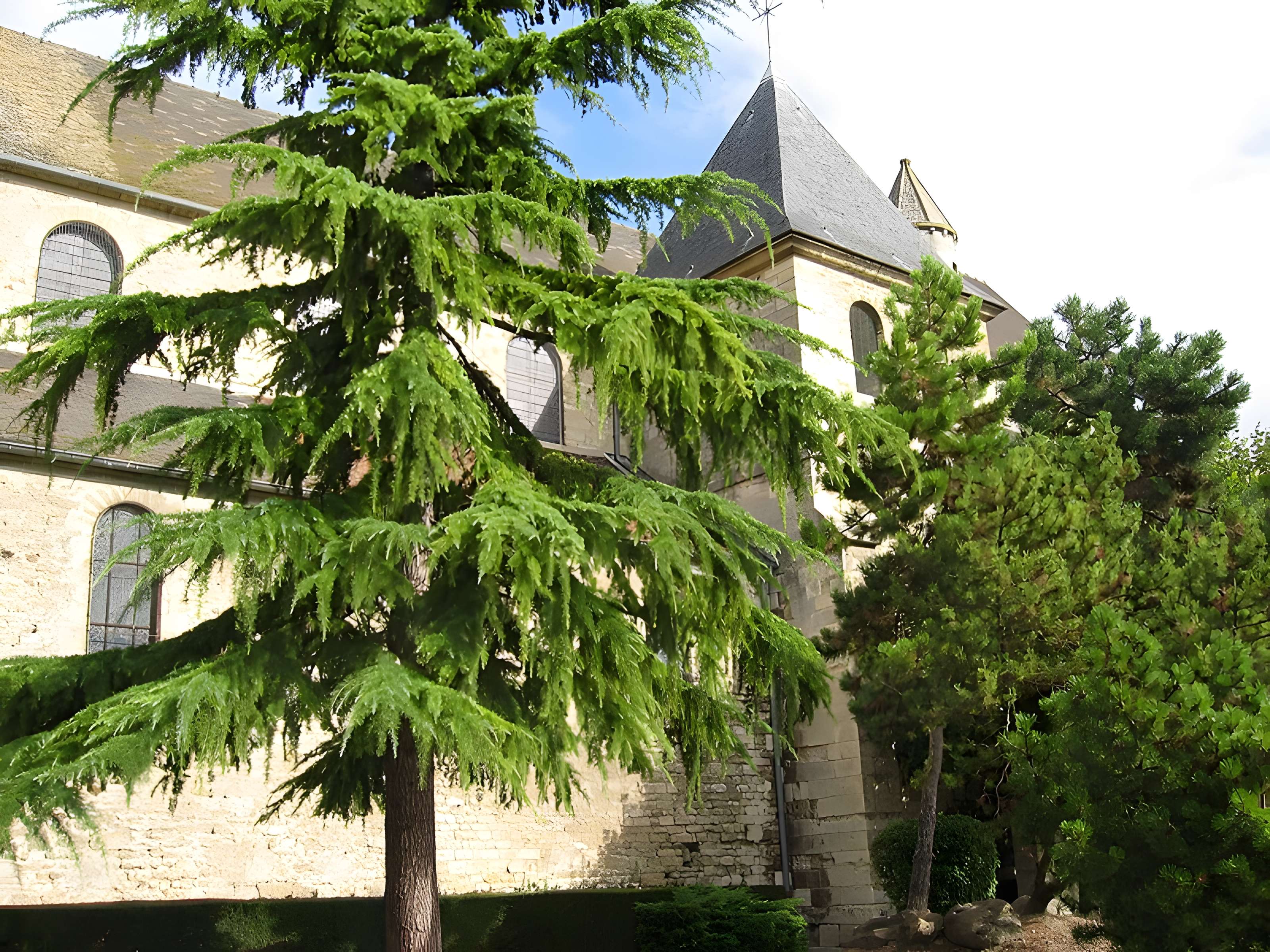 Église Saint-Michel de Juziers