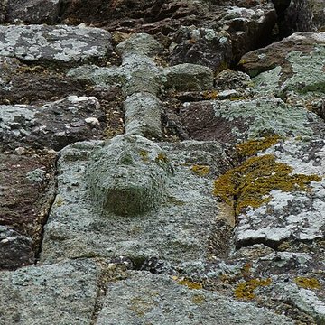Église Saint-Michel de La Nouaye