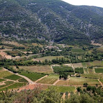 Église Saint-Michel de Malaucène