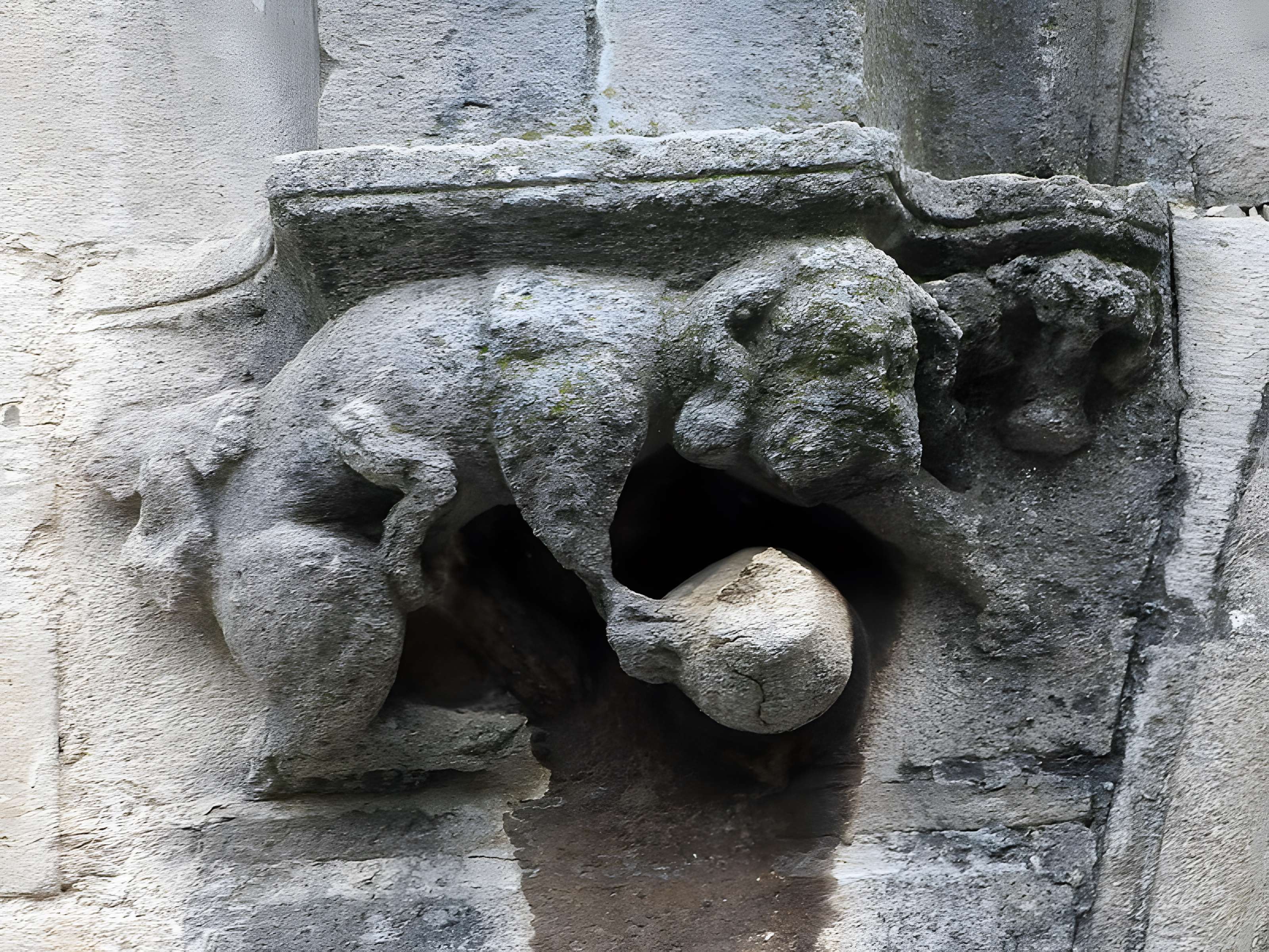 Église Saint-Michel de Malaucène