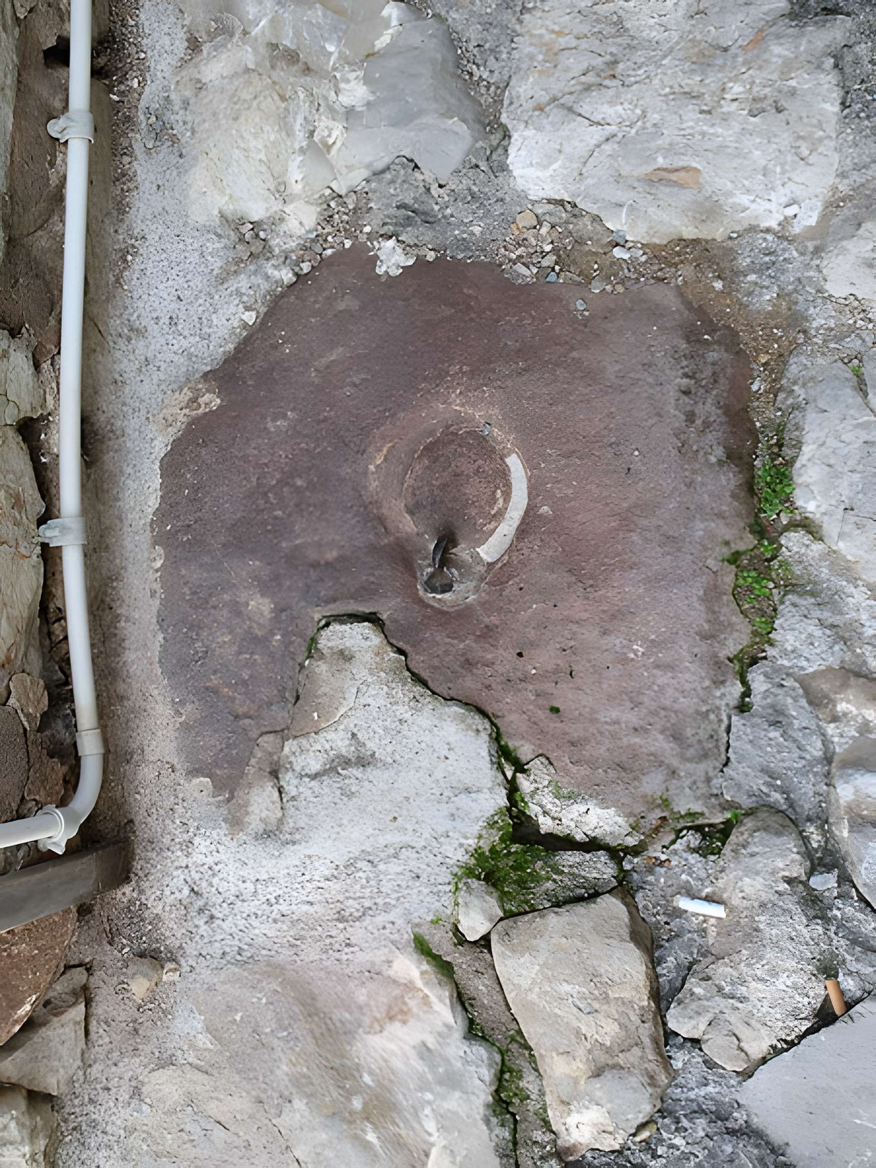 Église Saint-Michel du Vieux-Canet