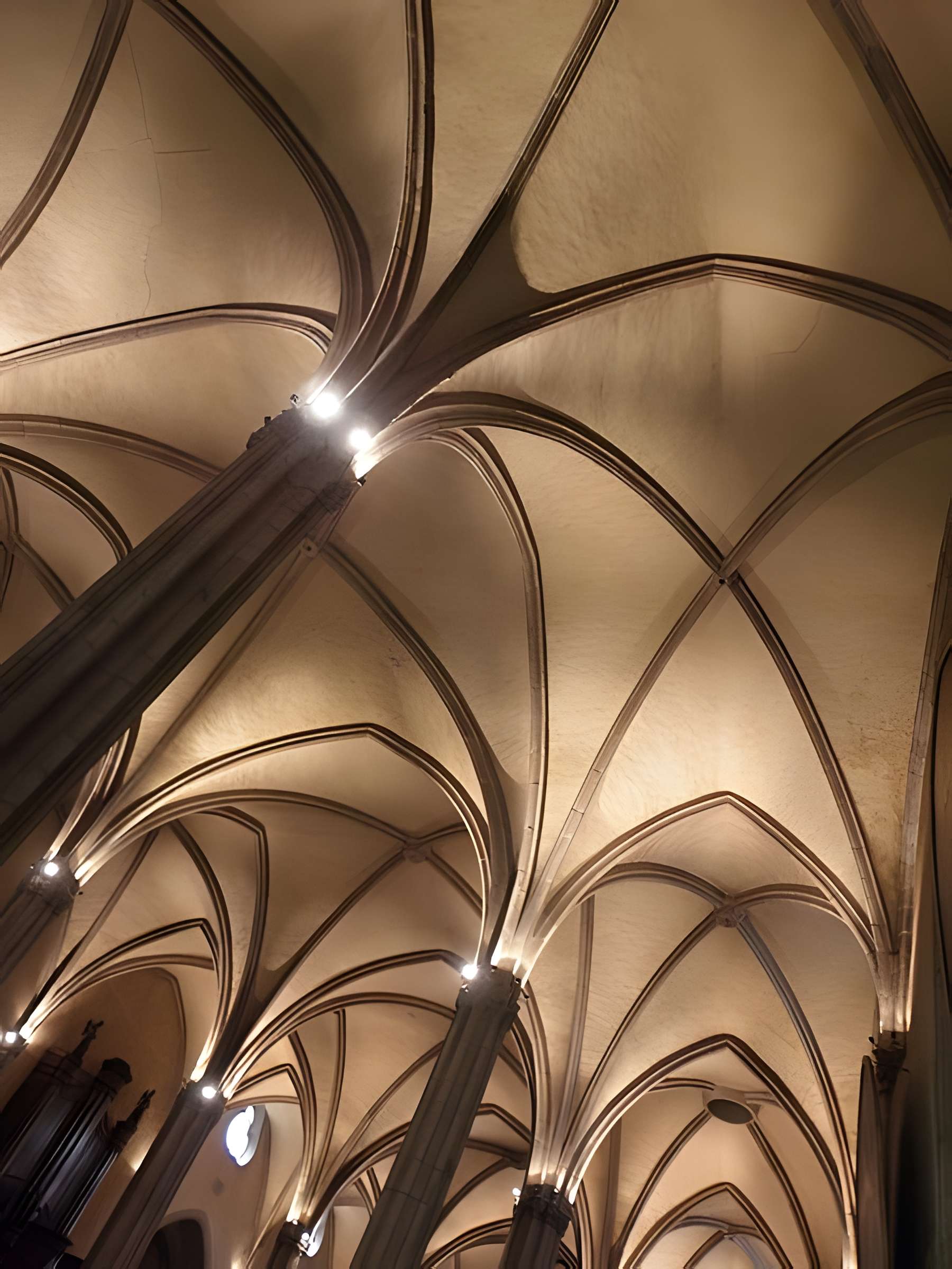 Église Saint-Michel-des-Lions de Limoges