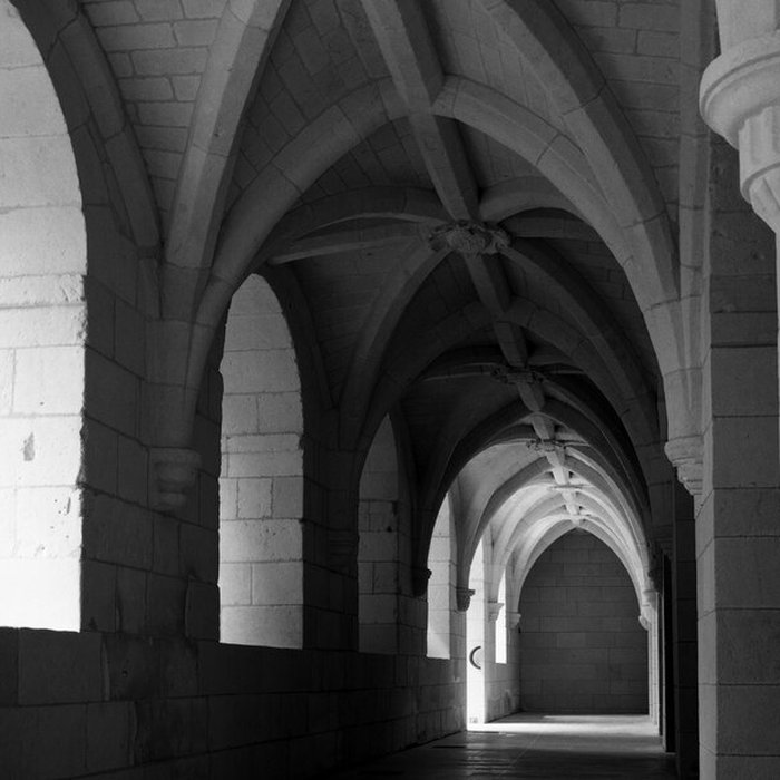 Photo de Abbaye Royale de Fontevraud