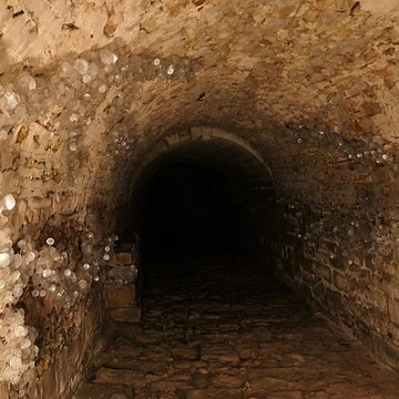 Abbaye Royale de Fontevraud