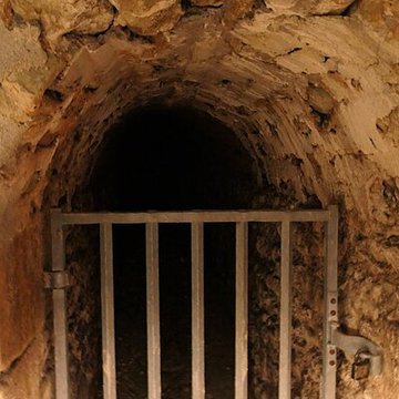 Abbaye Royale de Fontevraud