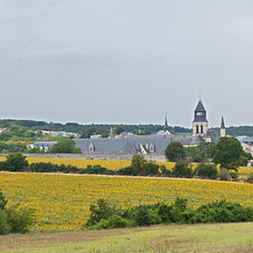 Abbaye Royale de Fontevraud