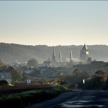 Abbaye Royale de Fontevraud