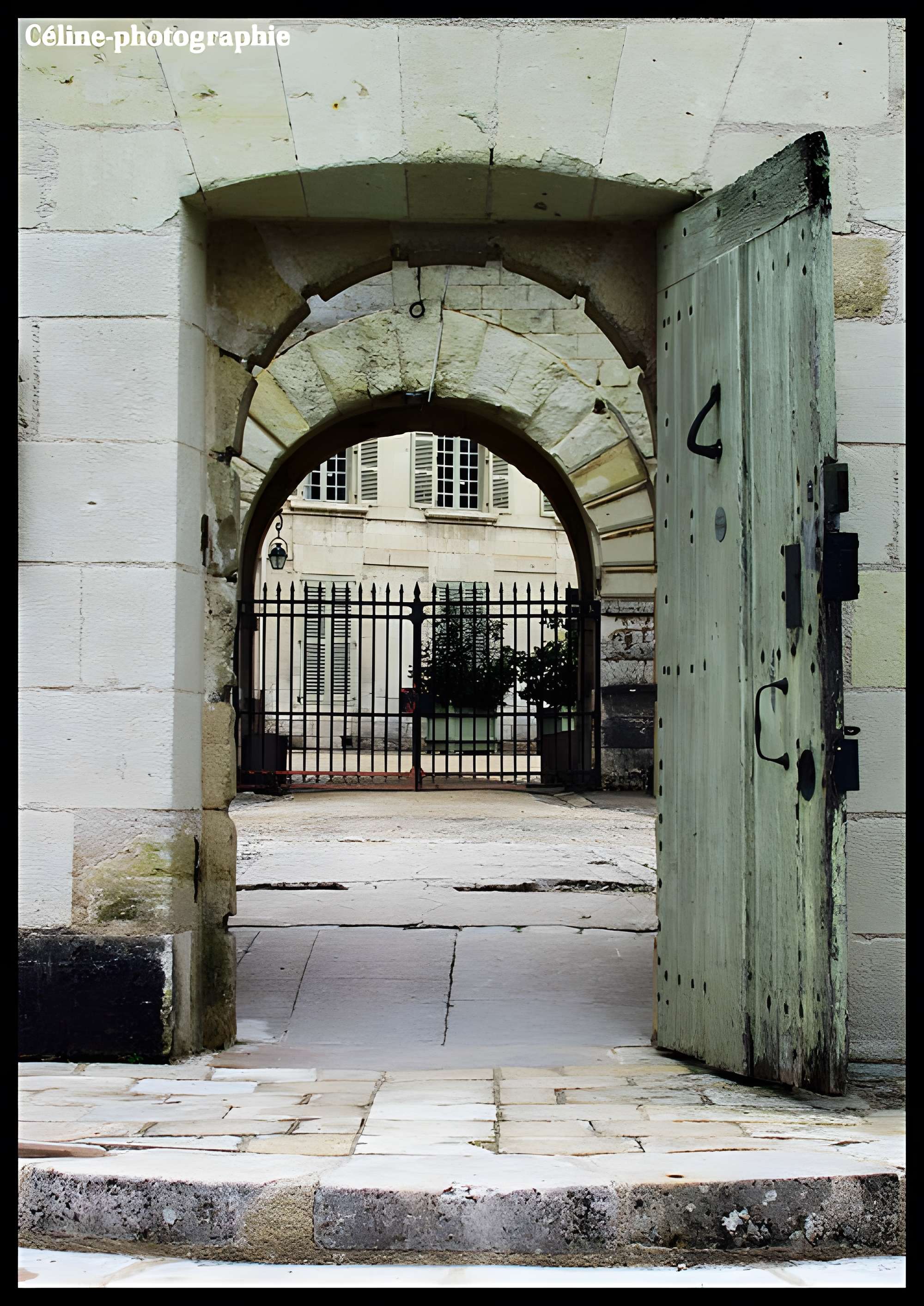 Abbaye Royale de Fontevraud