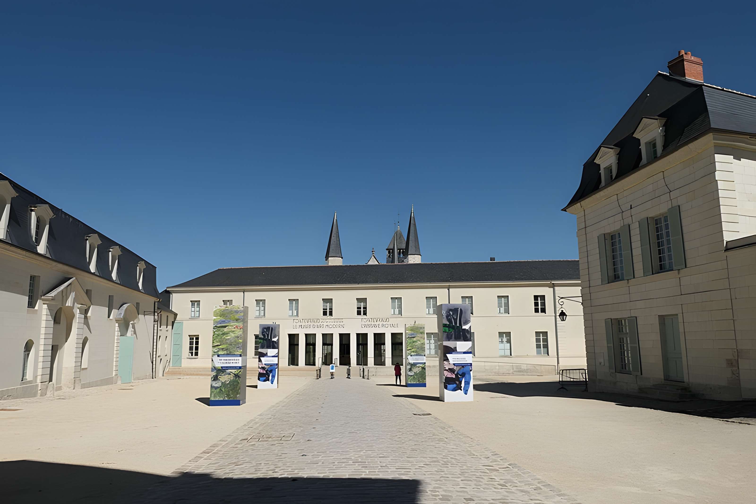 Abbaye Royale de Fontevraud