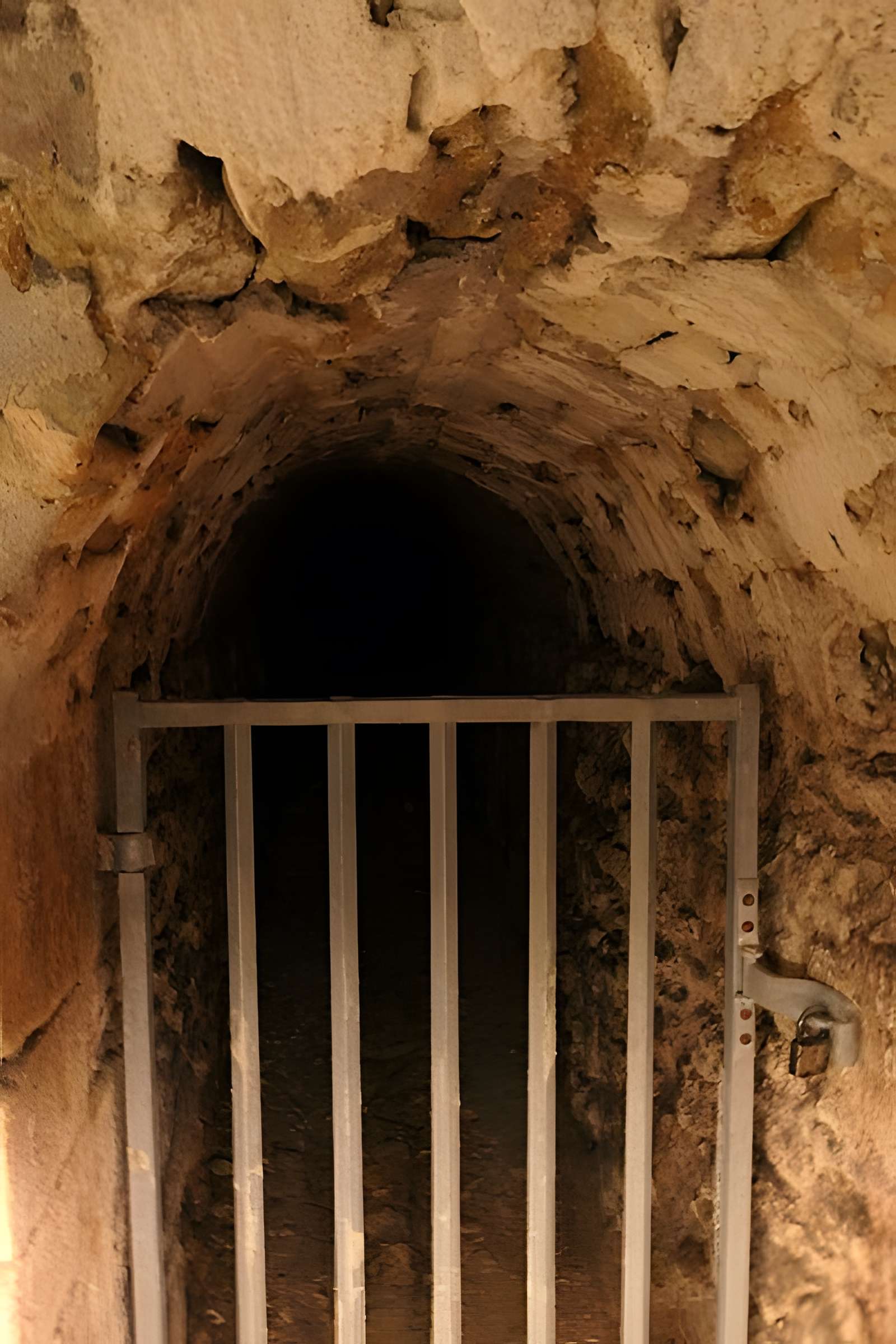 Abbaye Royale de Fontevraud