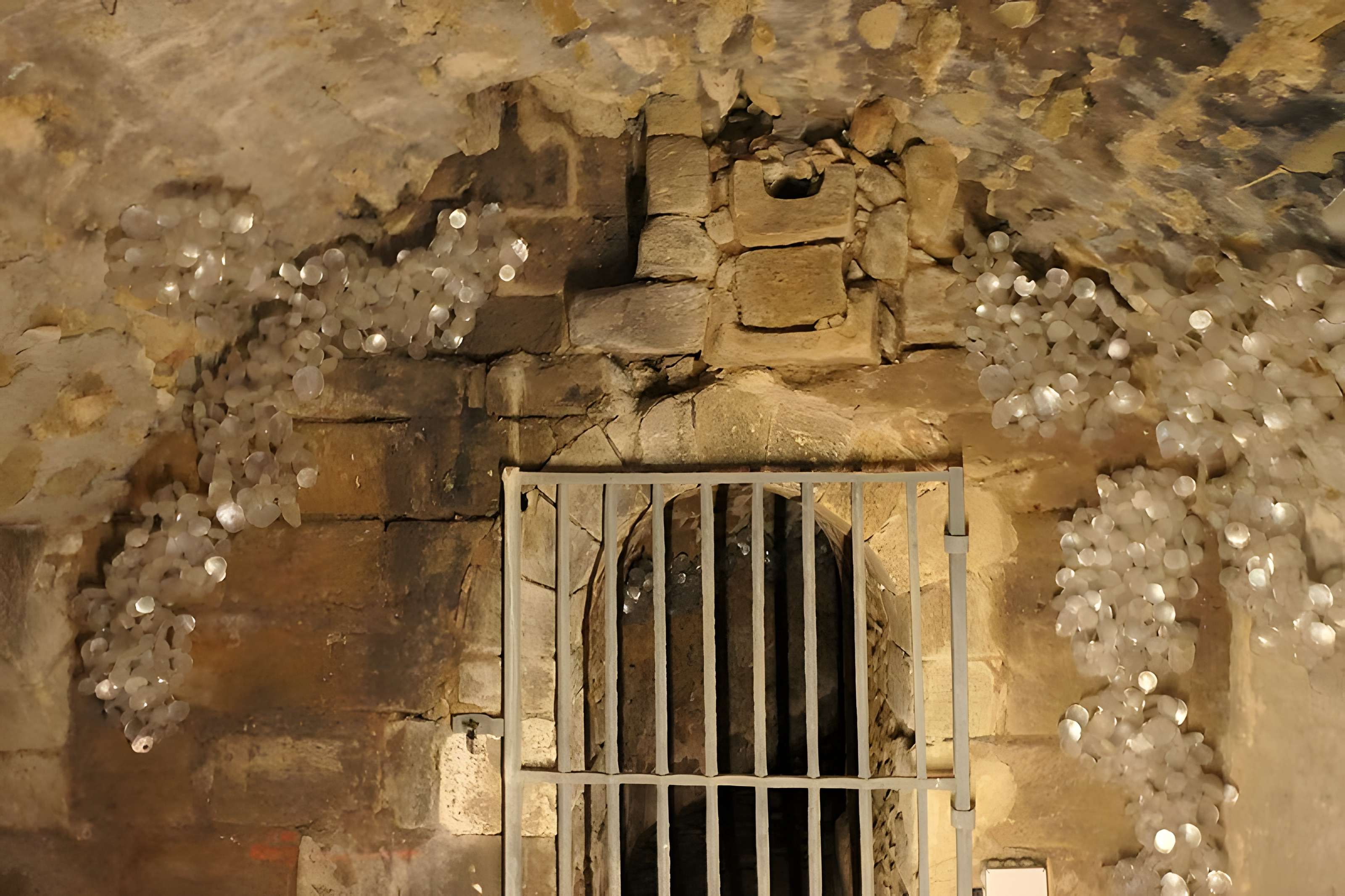 Abbaye Royale de Fontevraud