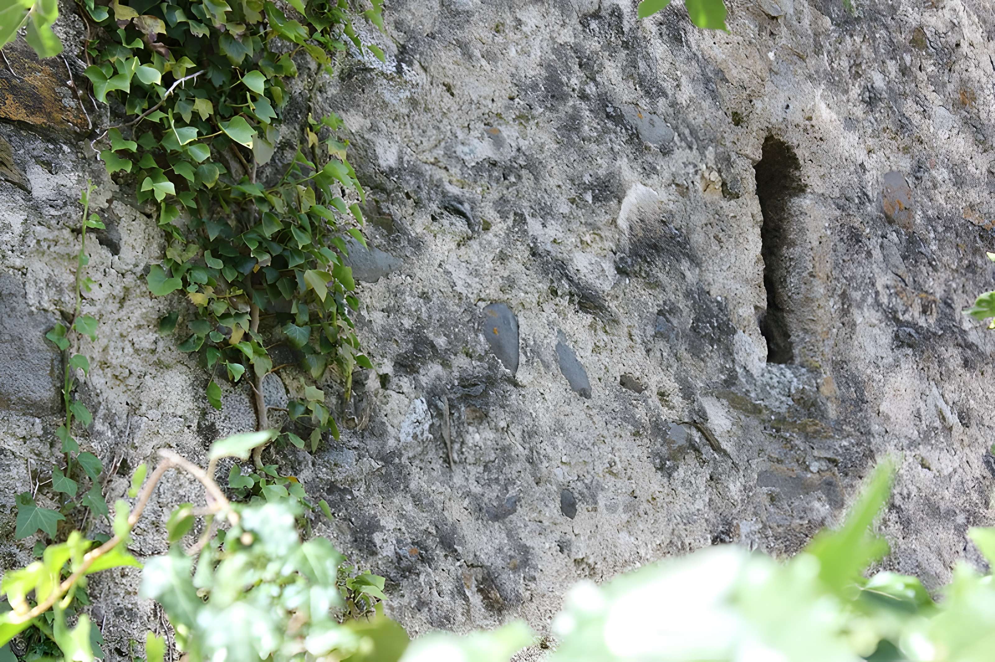 Église Saint-Nicolas d'Esquièze