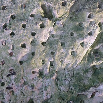Église troglodytique de lAnnonciation de Haute-Isle