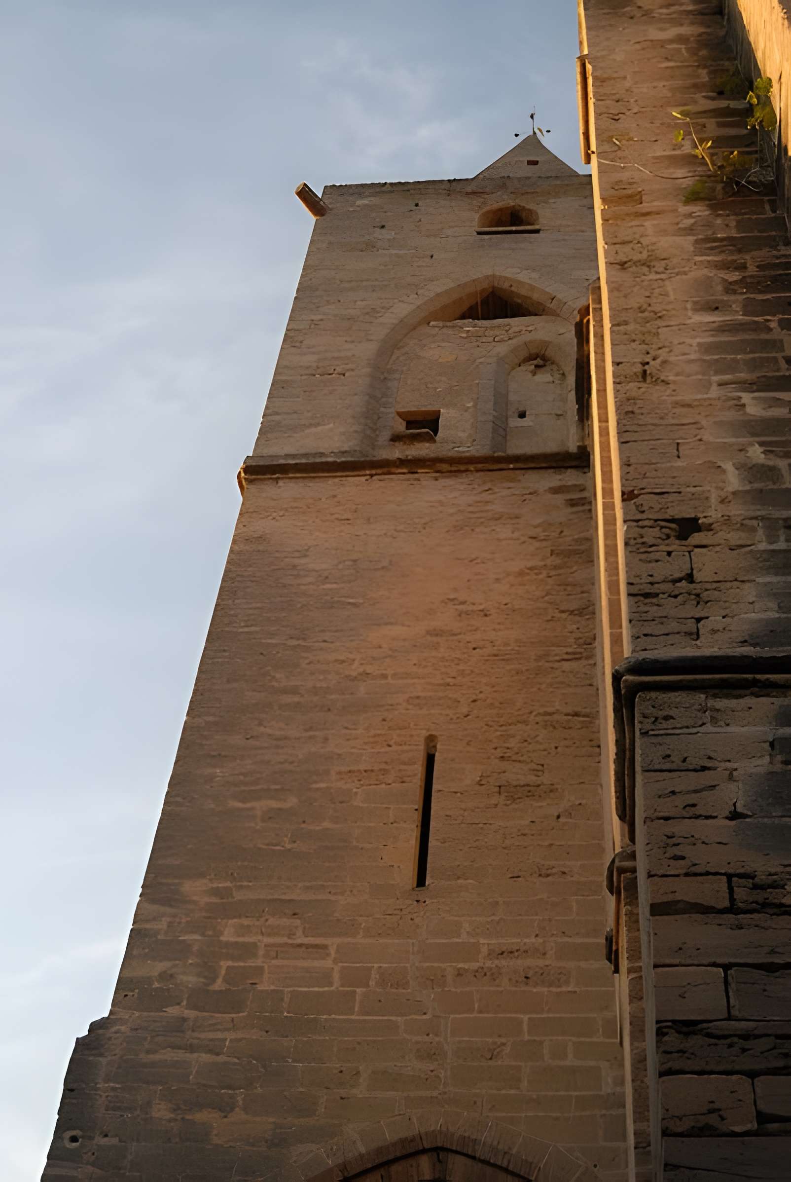 Église Saint-Pargoire de Saint-Pargoire