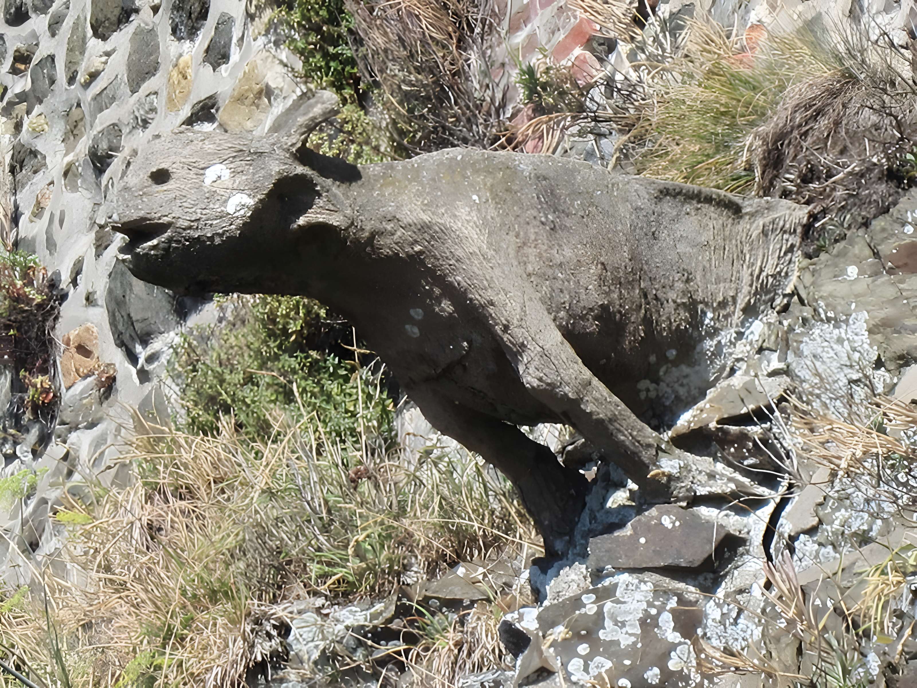 Enceinte de Granville